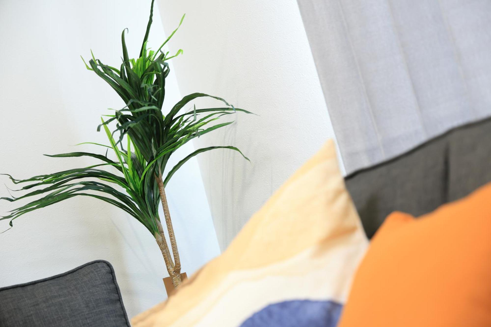 Bliss Ikebukuro Apartamento